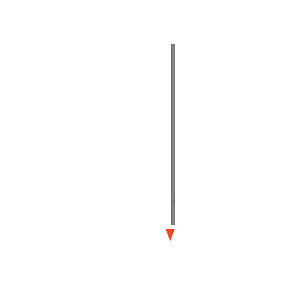 Logo White